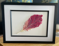 Quilled Paper Feather Picture